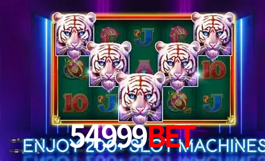 A Experiência Imersiva dos Cassinos Ao Vivo no 54999bet